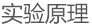 电子竞技博彩